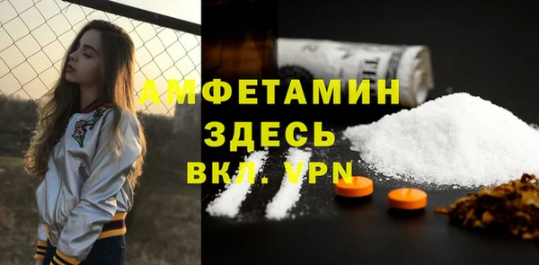 ешки Горняк