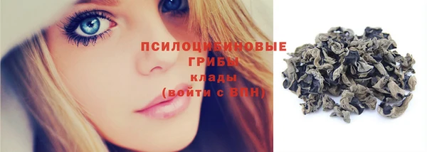 молекула духа Горно-Алтайск