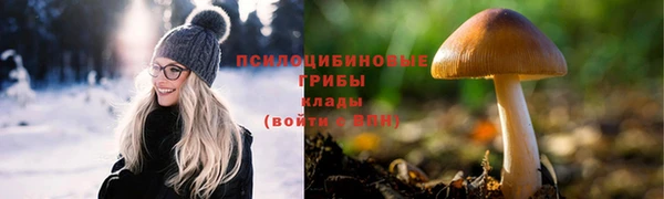 Альфа ПВП Володарск