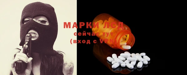 хмурый Верея