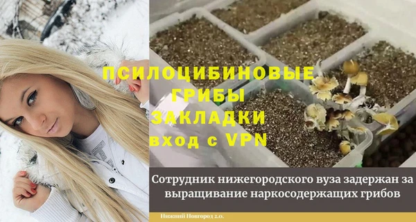 ПСИЛОЦИБИНОВЫЕ ГРИБЫ Горнозаводск