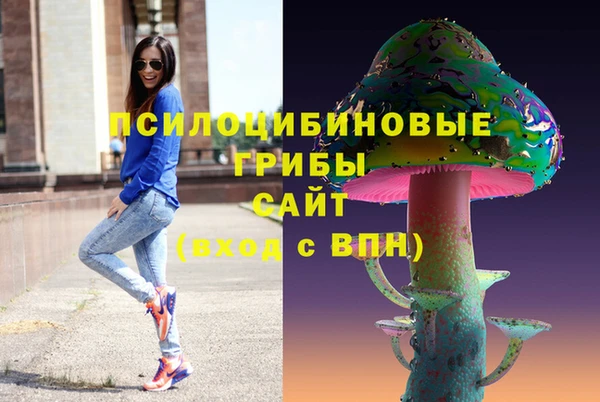 ешки Вязьма