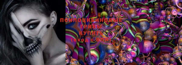 молекула духа Горно-Алтайск
