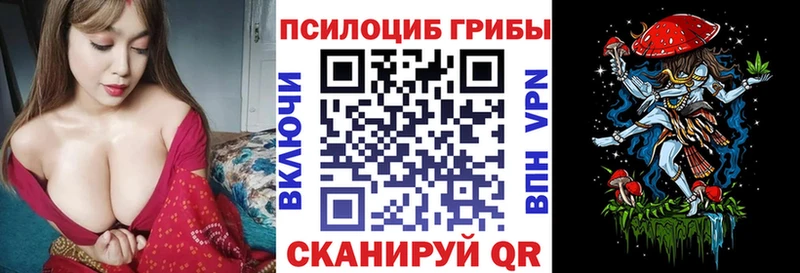 Галлюциногенные грибы Cubensis  закладка  Железногорск-Илимский 